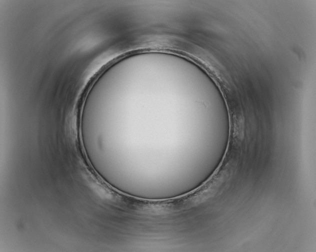 X0000113171078200909041317
