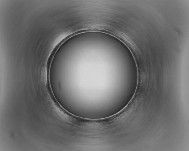 X0000113171079200909041317
