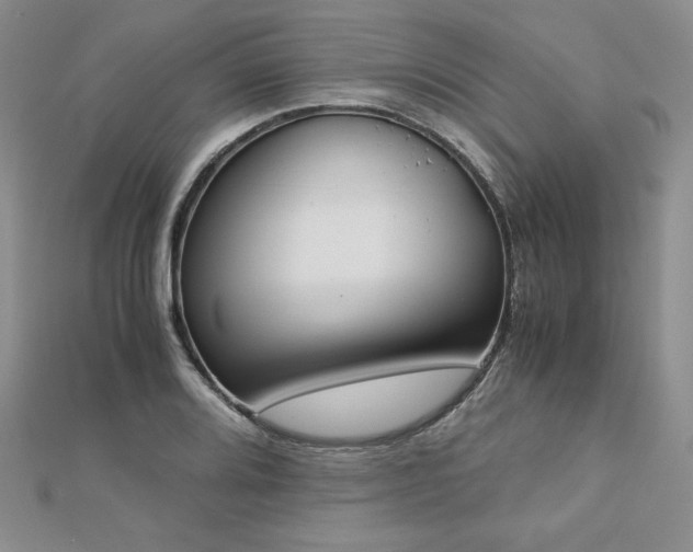X0000113171080200909041317