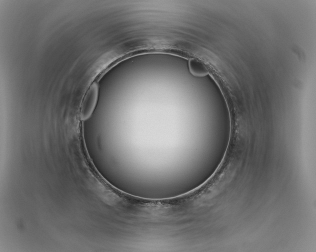 X0000113171081200909041317