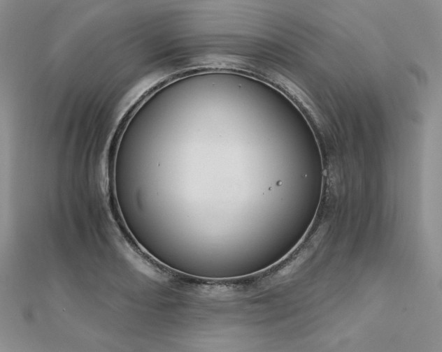 X0000113171082200909041317