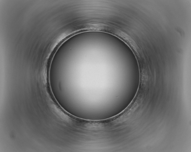 X0000113171083200909041317