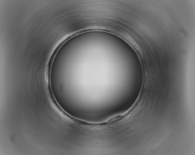 X0000113171084200909041317