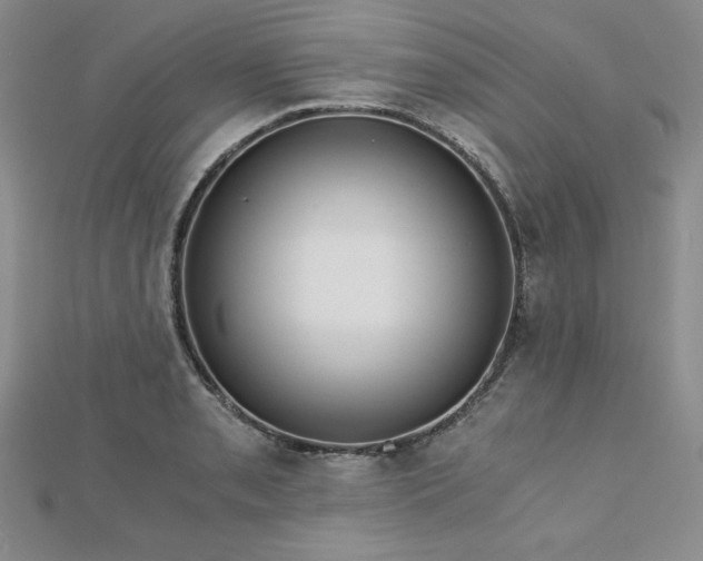 X0000113171085200909041317