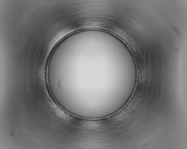 X0000113171086200909041317