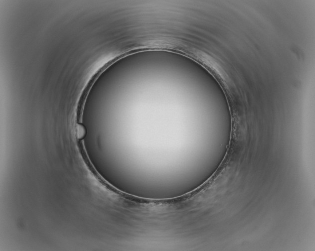 X0000113171087200909041317