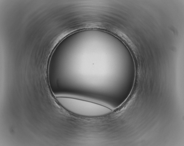 X0000113171089200909041317