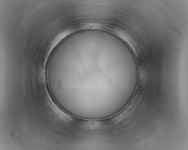 X0000113171090200909041317