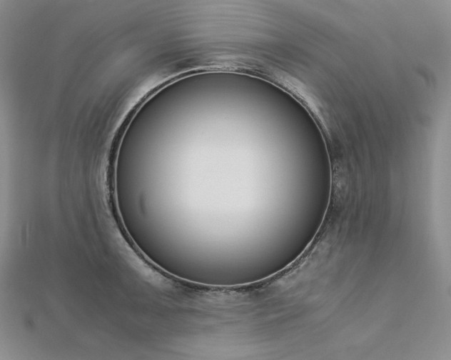 X0000113171091200909041317
