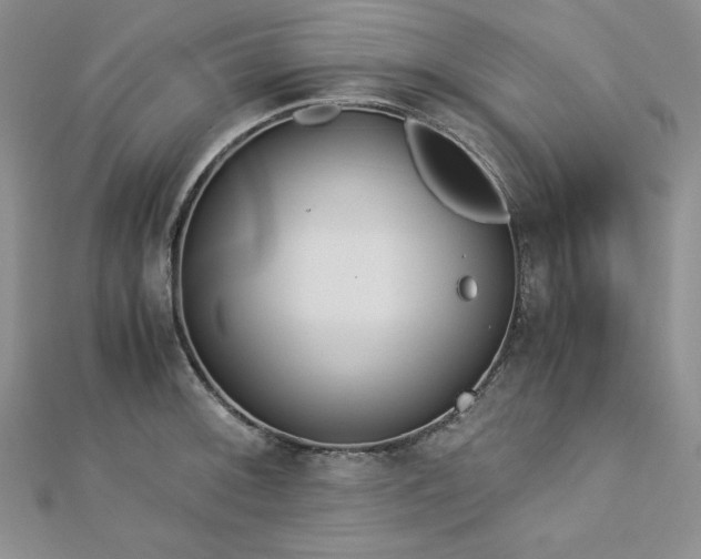X0000113171092200909041317