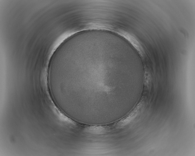 X0000113171094200909041317