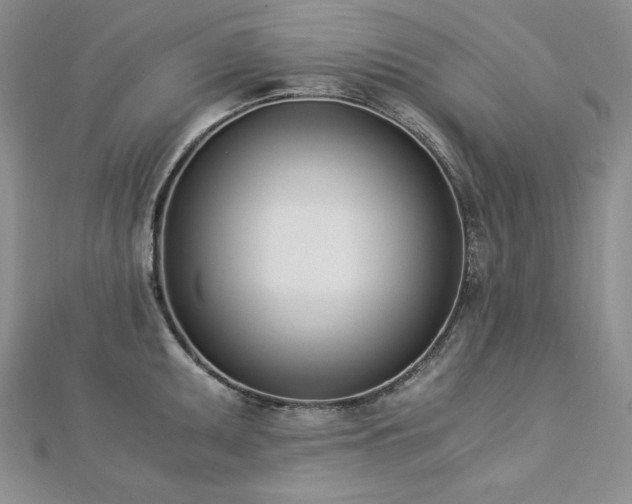 X0000113171095200909041317