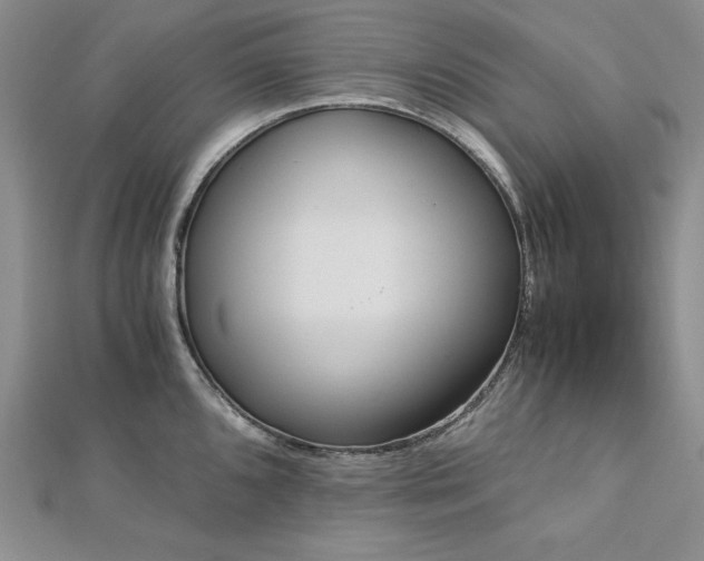 X0000113171096200909041317