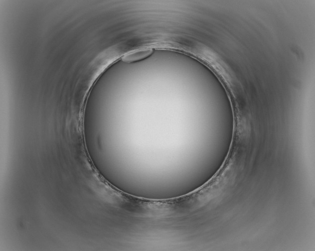 X0000113171097200909041317
