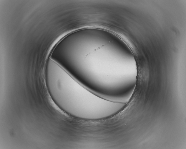 X0000113171100200909041317