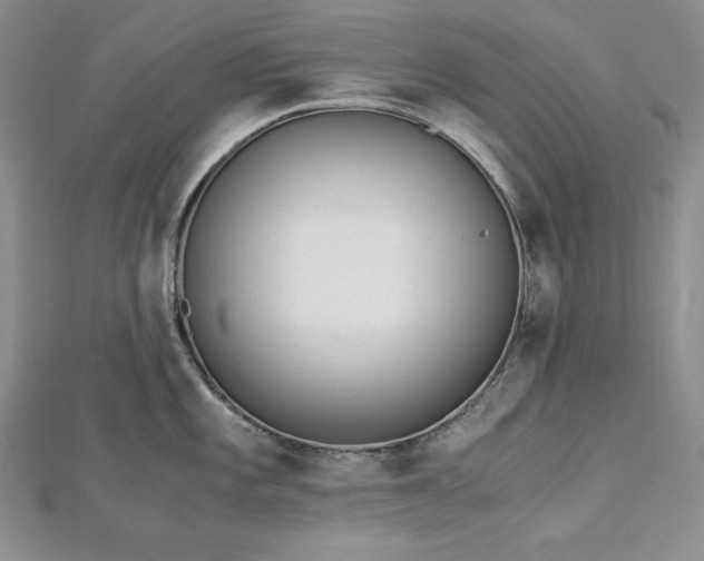 X0000113171101200909041317
