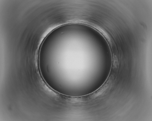 X0000113171102200909041317