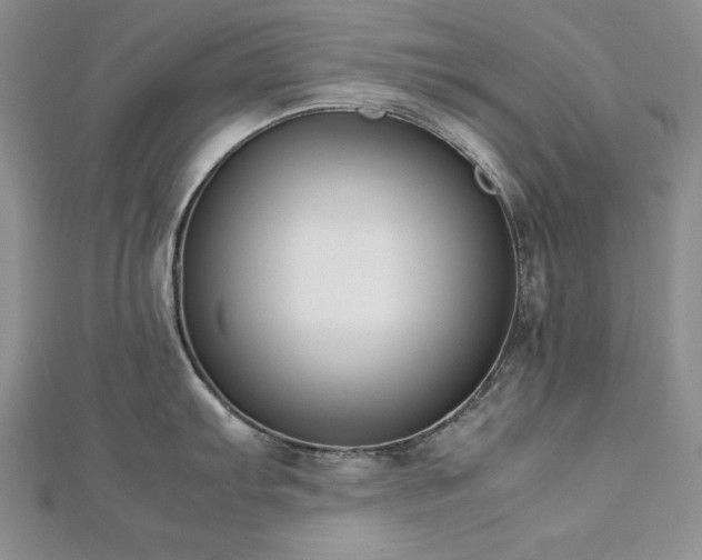X0000113171103200909041317