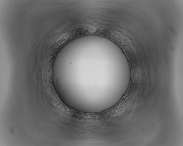 X0000113171105200909041316