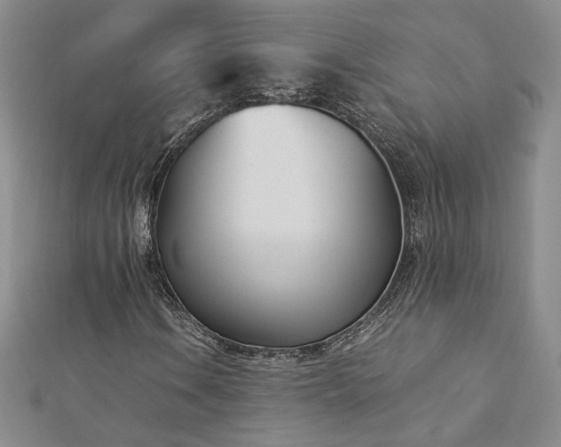 X0000113171106200909041316