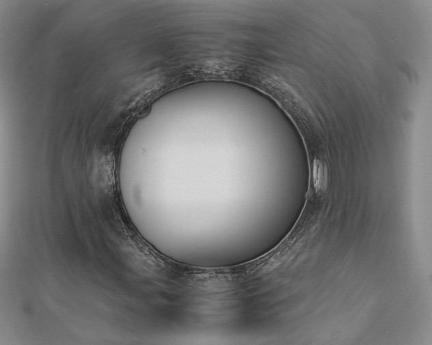 X0000113171107200909041316