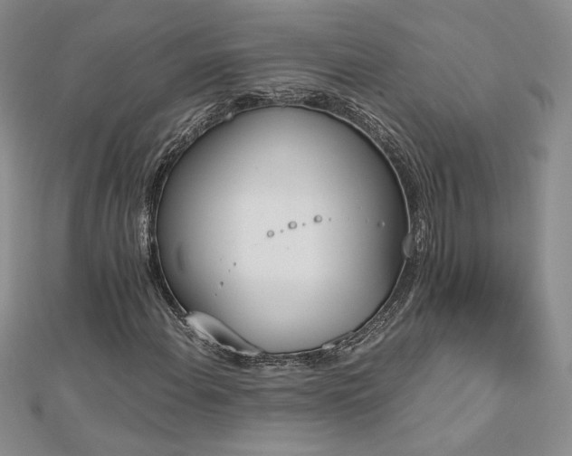 X0000113171108200909041316