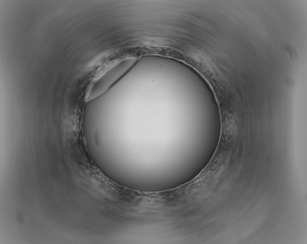 X0000113171110200909041316