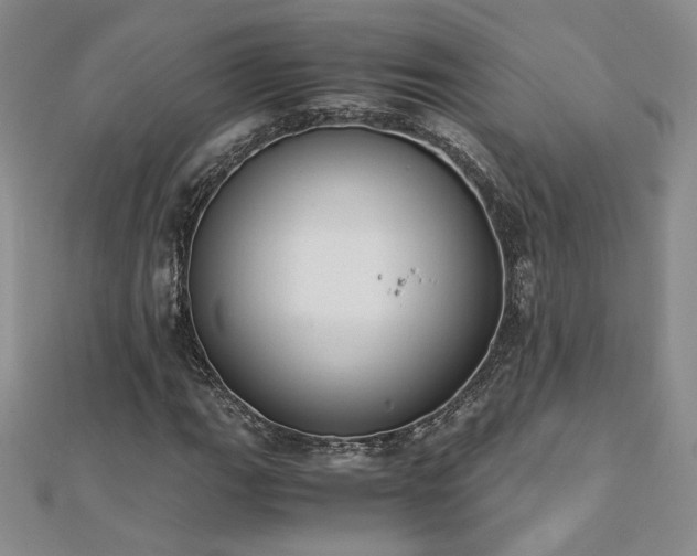 X0000113171111200909041316