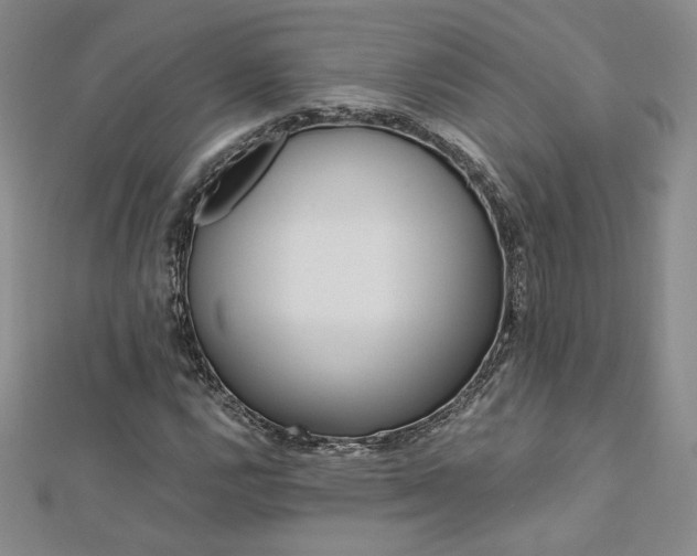 X0000113171112200909041316