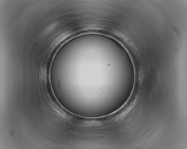 X0000113171113200909041316