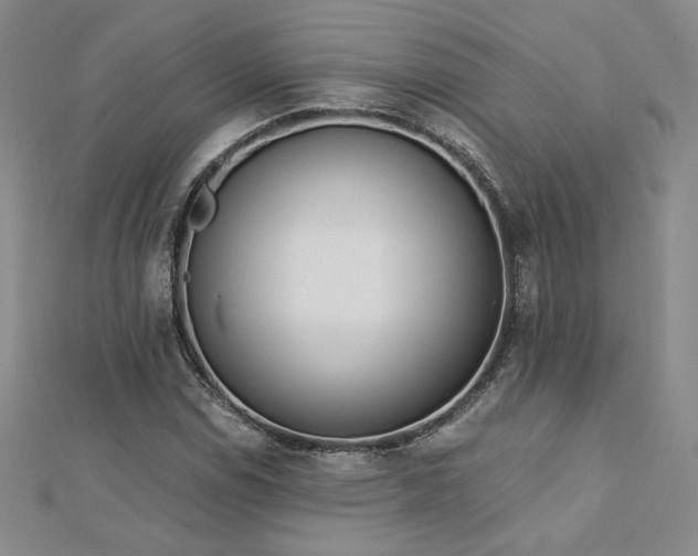 X0000113171114200909041316