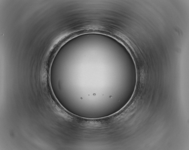 X0000113171115200909041316