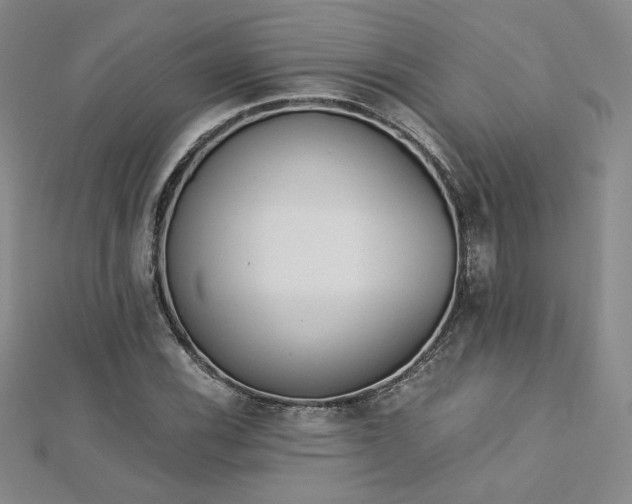 X0000113171116200909041316