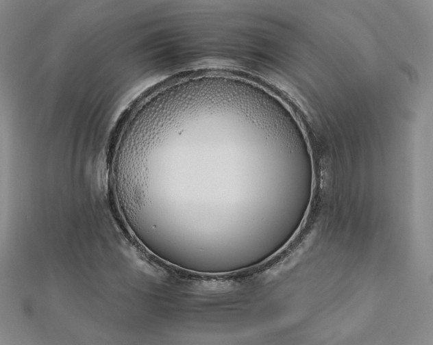 X0000113171117200909041316