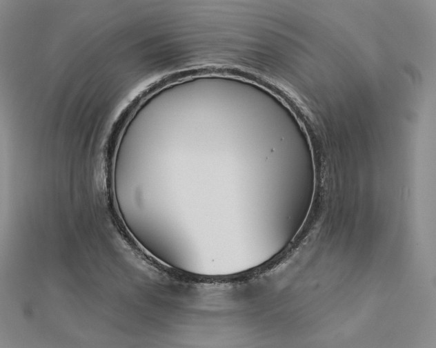 X0000113171118200909041316