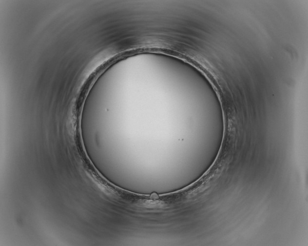 X0000113171119200909041316