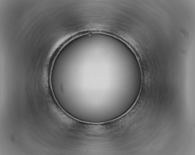 X0000113171120200909041316