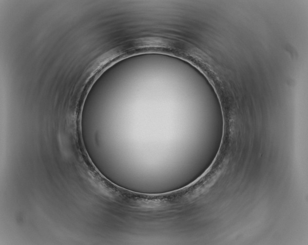 X0000113171121200909041316