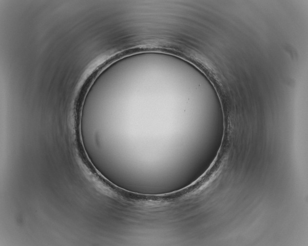 X0000113171122200909041316
