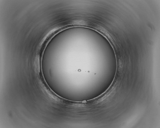 X0000113171123200909041316