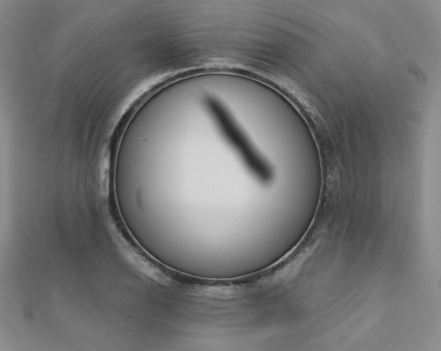 X0000113171126200909041316