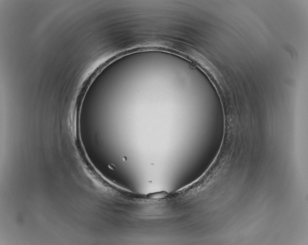 X0000113171127200909041316