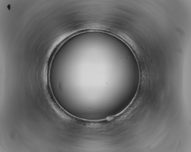 X0000113171128200909041316
