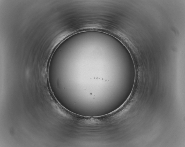 X0000113171129200909041316
