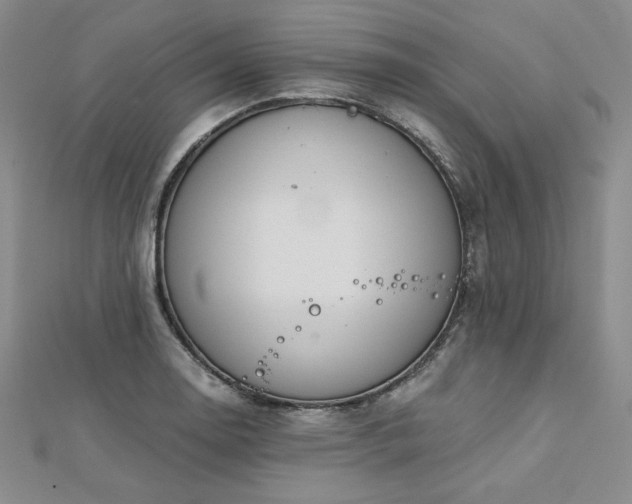 X0000113171130200909041316