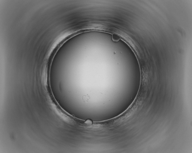 X0000113171131200909041316