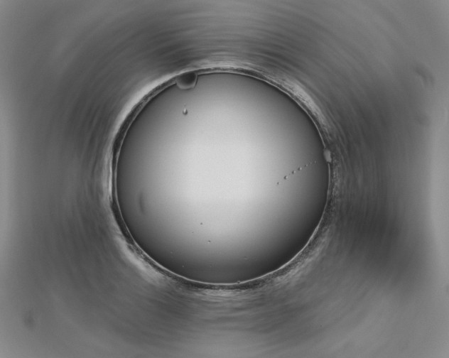 X0000113171132200909041316