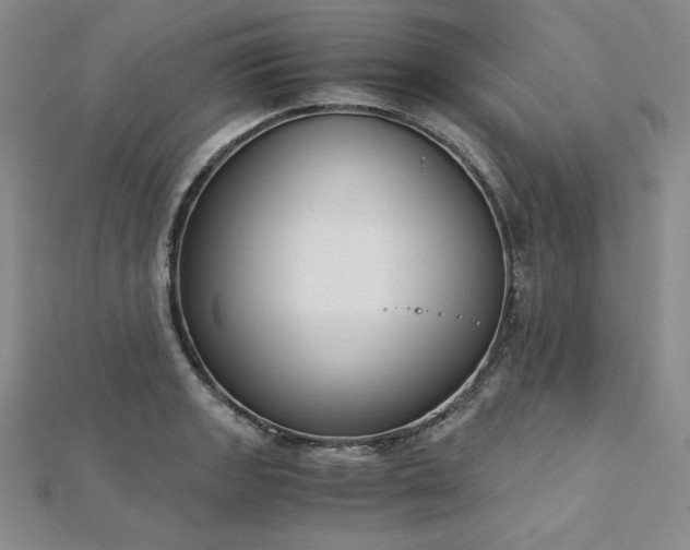 X0000113171133200909041316