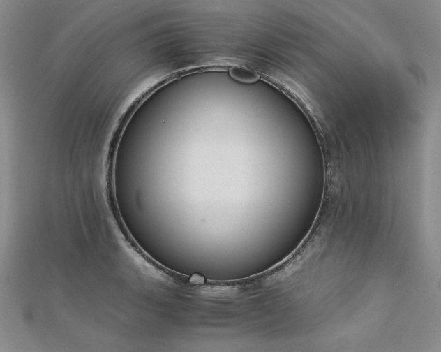 X0000113171135200909041316