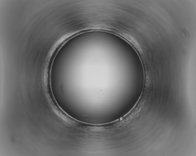 X0000113171136200909041316